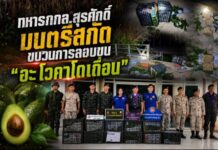 ทหารกกล.สุรศักดิ์มนตรีสกัดขบวนการลอบขน “อะโวคาโดเถื่อน” ริมโขงหว้านใหญ่ ผู้กระทำผิดแตกฮือหนี ทิ้งของกลางกว่า 300 กิโลกรัม