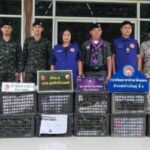 ทหารกกล.สุรศักดิ์มนตรีสกัดขบวนการลอบขน “อะโวคาโดเถื่อน” ริมโขงหว้านใหญ่ ผู้กระทำผิดแตกฮือหนี ทิ้งของกลางกว่า 300 กิโลกรัม