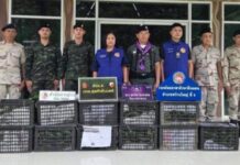 ทหารกกล.สุรศักดิ์มนตรีสกัดขบวนการลอบขน “อะโวคาโดเถื่อน” ริมโขงหว้านใหญ่ ผู้กระทำผิดแตกฮือหนี ทิ้งของกลางกว่า 300 กิโลกรัม