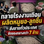 ทลายโรงงานเถื่อนผลิตหมูยอ-ลูกชิ้นส่งขายทั่วประเทศ ยึดของกลางกว่า 7 ล้าน