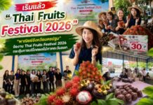 เริ่มแล้ว “Thai Fruits Festival 2026” “พาณิชย์จังหวัดนครปฐม” จัดงาน Thai Fruits Festival 2026 กระตุ้นการบริโภคผลไม้ภาคตะวันออก