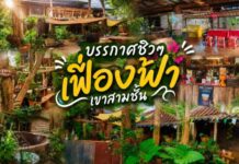 เดินทางมาไหว้พระ ศาลเจ้าพ่อเขาสามชั้น ต้องแวะ