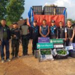 สกัดจับคาถนน! ทหารพราน 2103 ยึด “อะโวคาโดเถื่อน” 2.7 ตัน ซุกกระบะคอกเตรียมส่งตลาดไท