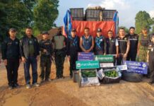 สกัดจับคาถนน! ทหารพราน 2103 ยึด “อะโวคาโดเถื่อน” 2.7 ตัน ซุกกระบะคอกเตรียมส่งตลาดไท