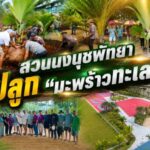 สวนนงนุชพัทยา ปลูก “มะพร้าวทะเล” เพิ่ม 23 ต้น ขยายภารกิจอนุรักษ์พันธุ์พืชระดับโลก