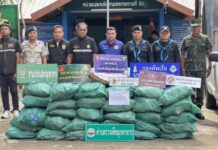 กรมปศุสัตว์สนธิกำลังยึดหนังหมูแช่แข็ง ประมาณ 720 กิโลกรัม