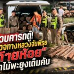 รวบคารถตู้! ตำรวจทางหลวงจับพิรุธ “ท้ายห้อย” ซุกไม้พะยูงเต็มคัน