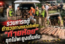 รวบคารถตู้! ตำรวจทางหลวงจับพิรุธ “ท้ายห้อย” ซุกไม้พะยูงเต็มคัน