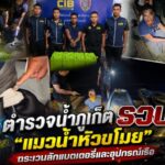 ตำรวจน้ำภูเก็ต รวบ “แมวน้ำหัวขโมย” ตระเวนลักแบตเตอรี่และอุปกรณ์เรือ