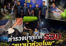 ตำรวจน้ำภูเก็ต รวบ “แมวน้ำหัวขโมย” ตระเวนลักแบตเตอรี่และอุปกรณ์เรือ