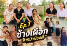 ช้างเผือกจากป่าบ้องตี้”