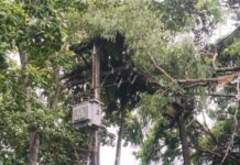 ฝนตกลมแรงนานนับชั่วโมง ต้นไม้ขนาดใหญ่หักล้มทับหม้อแปลงไฟฟ้าแรงสูง ไฟดับเป็นวงกว้าง เจ้าหน้าที่เร่งตัดกระแสไฟฟ้าและเคลียร์พื้นที่ คาดใช้เวลา 1-2 ชั่วโมง