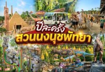 ปีละครั้ง สวนนงนุชพัทยาจัดโปร “แม่เข้าฟรี” 12 ส.ค.นี้ ชวนลูกพาแม่เที่ยวฉลองวันแม่แห่งชาติ