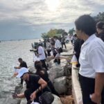 เทศบาลเมืองศรีราชา ร่วมปล่อยพันธุ์สัตว์น้ำทะเลสู่ทะเลศรีราชา