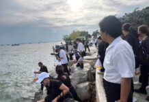 เทศบาลเมืองศรีราชา ร่วมปล่อยพันธุ์สัตว์น้ำทะเลสู่ทะเลศรีราชา