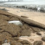 เลขานายกพัทยา‘ ลงพื้นที่ตรวจสอบตลิ่งพังริมหาดกะทิงราย สั่งปิดกั้นพื้นที่เพื่อความปลอดภัย ก่อนชงนายกฯ หาแนวทางแก้