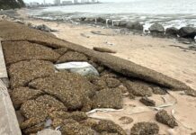 เลขานายกพัทยา‘ ลงพื้นที่ตรวจสอบตลิ่งพังริมหาดกะทิงราย สั่งปิดกั้นพื้นที่เพื่อความปลอดภัย ก่อนชงนายกฯ หาแนวทางแก้