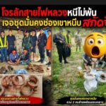 จับได้แล้ว! ตร.-ปกครอง-ทหาร-ทหารพราน เมืองกาญจน์ สนธิกำลังขยายผลด่านช่องเขาหนีบ ตะครุบ 2 โจรลักทองแดงไฟแรงสูงยัดกระสอบปุ๋ยกาญจนบุรี
