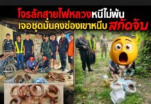 จับได้แล้ว! ตร.-ปกครอง-ทหาร-ทหารพราน เมืองกาญจน์ สนธิกำลังขยายผลด่านช่องเขาหนีบ ตะครุบ 2 โจรลักทองแดงไฟแรงสูงยัดกระสอบปุ๋ยกาญจนบุรี