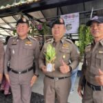 บก.น.9 ส่งมอบ “ตำบลยั่งยืน” กวาดจับยาอื้อยึดทรัพย์ 159 ล้าน ผนึกกำลังเขตหนองแขม จัด “ย่านสร้างสรรค์หนองค้างพลู” คืนคนดีสู่สังคม
