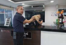 สงสัยต้องเปิดแผนกฝากเลี้ยง! โรงพักพัทยาเพิ่งส่งน้องไซกลับบ้าน ล่าสุด ‘น้องปอม’ หลงมาอีกตัว ตำรวจชุดเดิมรับหน้าที่พี่เลี้ยง”