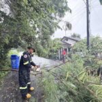 สัตหีบน้ำลด ถนนสุขุมวิทกลับสู่ภาวะปกติ แต่ยังมีฝนตกต่อเนื่อง ต้นไม้หักโค่นทับบ้าน เร่งฟื้นฟูช่วยเหลือประชาชน