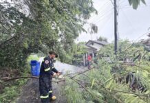 สัตหีบน้ำลด ถนนสุขุมวิทกลับสู่ภาวะปกติ แต่ยังมีฝนตกต่อเนื่อง ต้นไม้หักโค่นทับบ้าน เร่งฟื้นฟูช่วยเหลือประชาชน