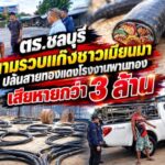 ตร.ชลบุรี ตามรวบแก๊งชาวเมียนมา ปล้นสายทองแดงโรงงานพานทอง เสียหายกว่า 3 ล้าน