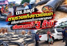 ตร.ชลบุรี ตามรวบแก๊งชาวเมียนมา ปล้นสายทองแดงโรงงานพานทอง เสียหายกว่า 3 ล้าน