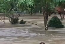สามอำเภอวิกฤตมหันตภัยอุทกภัยน้ำหลากทะลักถนนหลวง 3076 สัญจรไม่ได้ หลายหมู่บ้านถูกตัดขาดโลกภายนอก ผู้นำอพยพชาวบ้านหนีตายโกลาหล