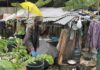 นนทบุรี ลุง-ป้าน้ำตานอง โดนหลอกจนหมดตัวต้องขายที่ขายบ้านอนในป่าหญ้า สูญเงินกว่า 5 ล้าน ผอ.ฟ้า ยื่นมือช่วยเหลือ
