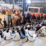 สำนักข่าวระดับโลก AP กล่าวถึง “สวนนงนุชพัทยา” สะท้อนภาพใหม่พัทยาสู่ Family Destination