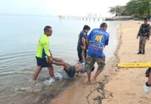 สลดรับอรุณ หนุ่มเมียนมาวัย 36 ดับปริศนาเกยหาดตะวันรอน นาจอมเทียน คาดเฝ้าวงเหล้าริมหาดก่อนเมาพลัดตกทะเลดับสลด