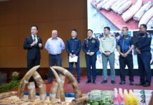 ศุลกากรปิดปีงบฯ 69 โชว์ผลงานปราบสินค้าผิดกฎหมาย 59,840 คดี มูลค่าทะลุ 4.83 พันล้านบาท ลุยสกัดยาเสพติด-บุหรี่ไฟฟ้า-ขยะพิษ พร้อมใช้ AI ยกระดับบริหารความเสี่ยง