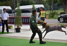 ศูนย์ฝึกสุนัขตำรวจ เปิดการแข่งขันขีดความสามารถสุนัขตำรวจ BPP K-9 2026 ณ ค่ายพระรามหก